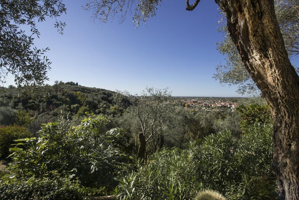 Hotel Locanda Al Colle Camaiore Zimmer foto
